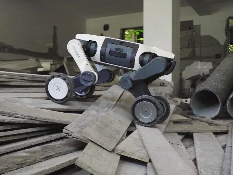 DEEP Robotics LYNX S10